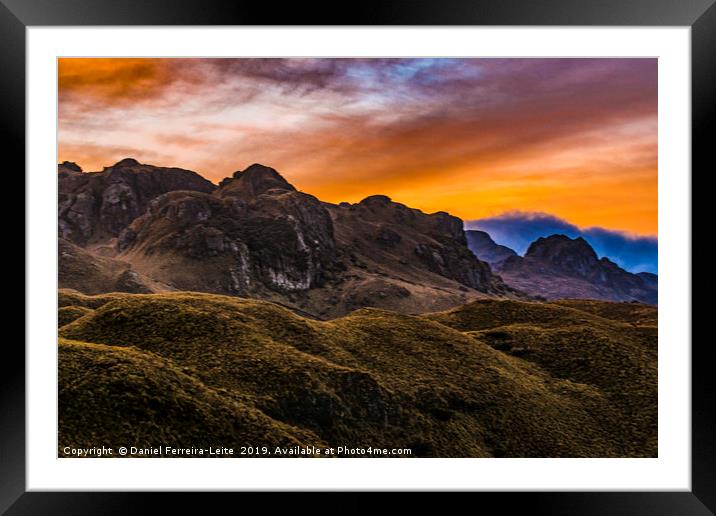 Cajas National Park Cuenca Ecuador Framed Mounted Print by Daniel Ferreira-Leite