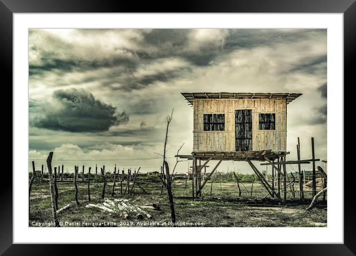 Traditional Cane House Ecuador Framed Mounted Print by Daniel Ferreira-Leite