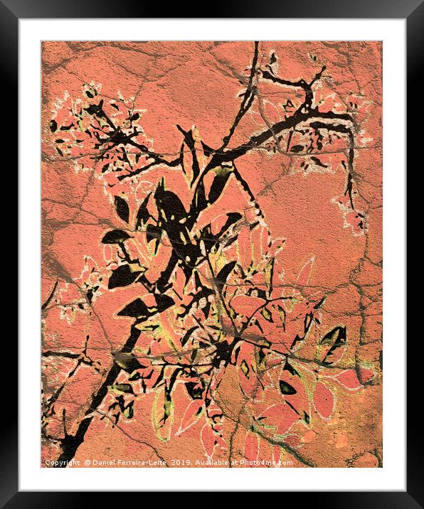 Floral Grungy Style Artwork  Framed Mounted Print by Daniel Ferreira-Leite