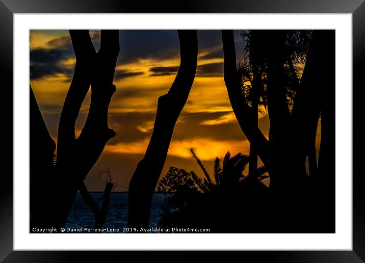 River Plate River at Sunset Montevideo Uruguay Framed Mounted Print by Daniel Ferreira-Leite