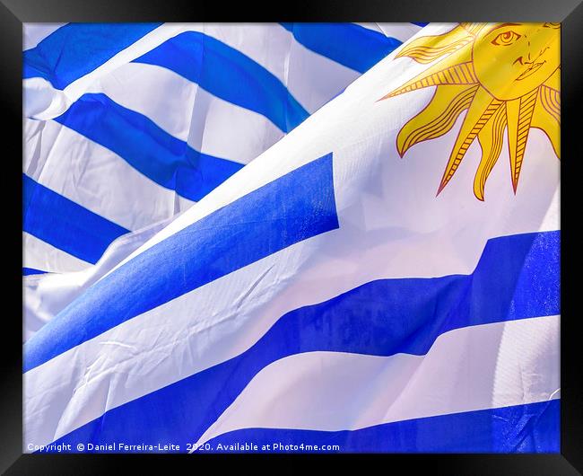 Uruguay Flags Waving Framed Print by Daniel Ferreira-Leite