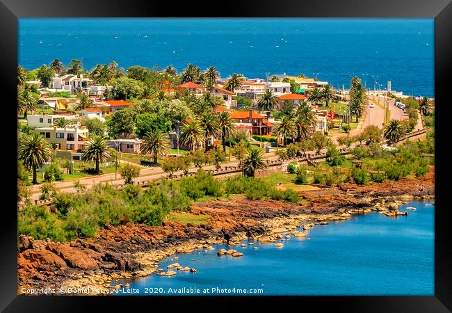 Landscape Aerial View Punta Colorada Uruguay Framed Print by Daniel Ferreira-Leite