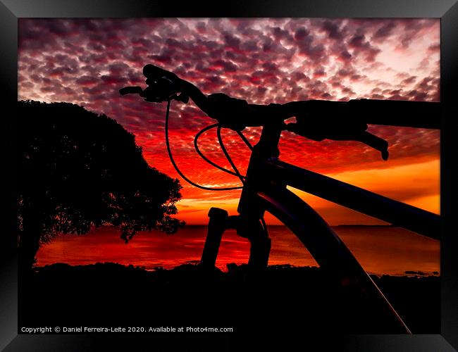 Mountain Bike Parked at Waterfront Park Framed Print by Daniel Ferreira-Leite