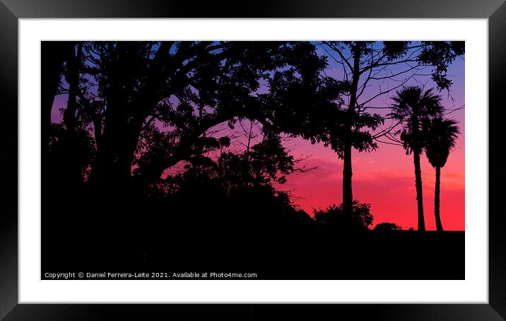Sunset Trees Landscape Silhouette Framed Mounted Print by Daniel Ferreira-Leite