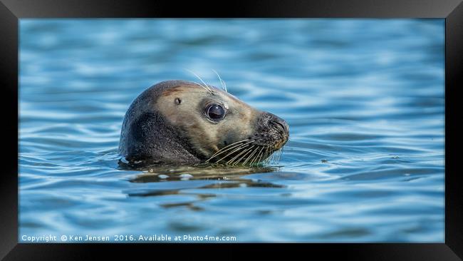 Bright Eyes Framed Print by Ken Jensen