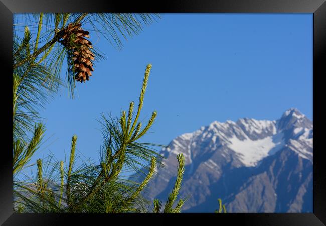 A tree with a mountain in the background Framed Print by NITYANANDA MUKHERJEE