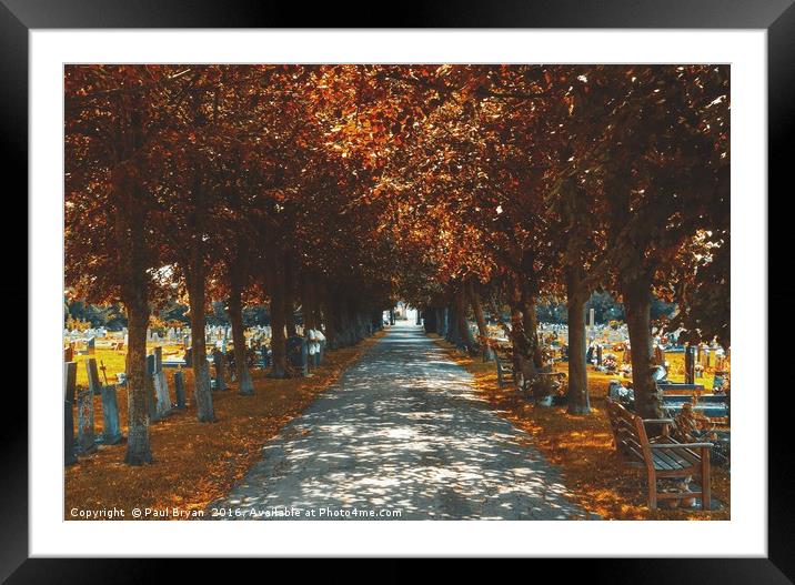 Autumn Treeline in UK Framed Mounted Print by Paul Bryan