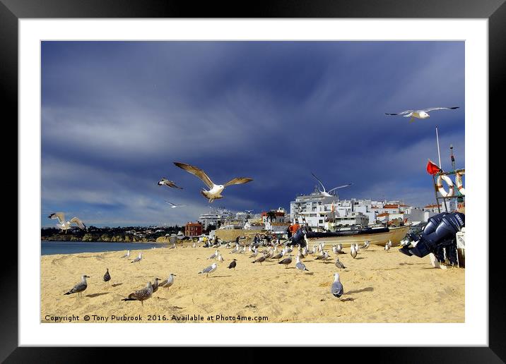 Fisherman’s Beach Framed Mounted Print by Tony Purbrook