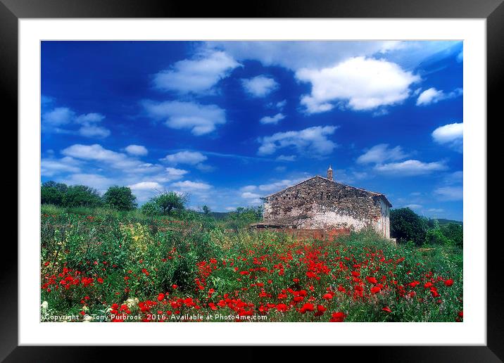 Old Stone House in Poppy Field Framed Mounted Print by Tony Purbrook