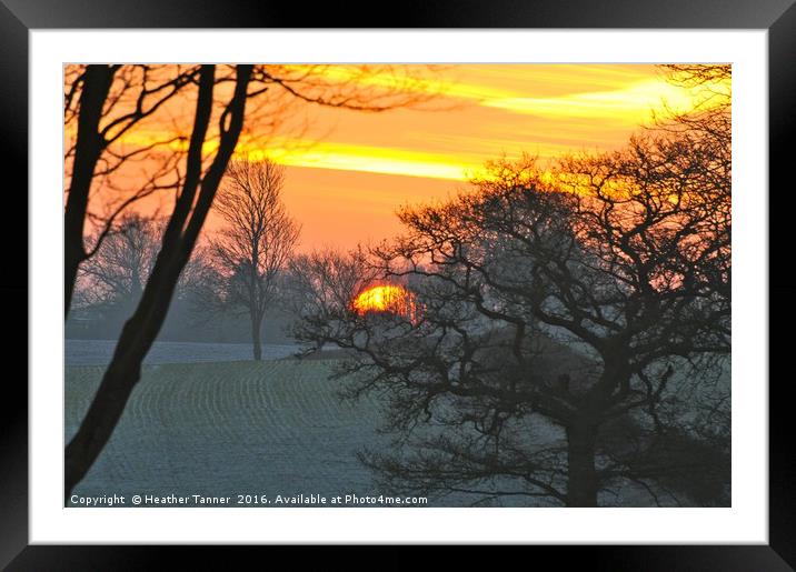 Frosty start Framed Mounted Print by Heather M Tanner