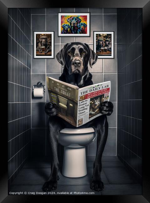 Black Labrador on the Toilet Framed Print by Craig Doogan