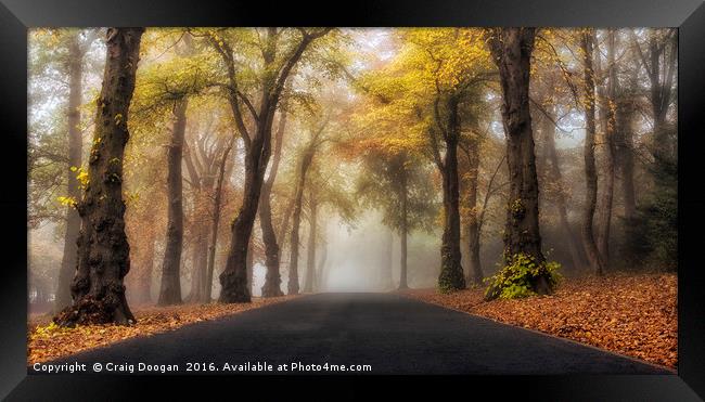 Foggy Autumn Drive Framed Print by Craig Doogan