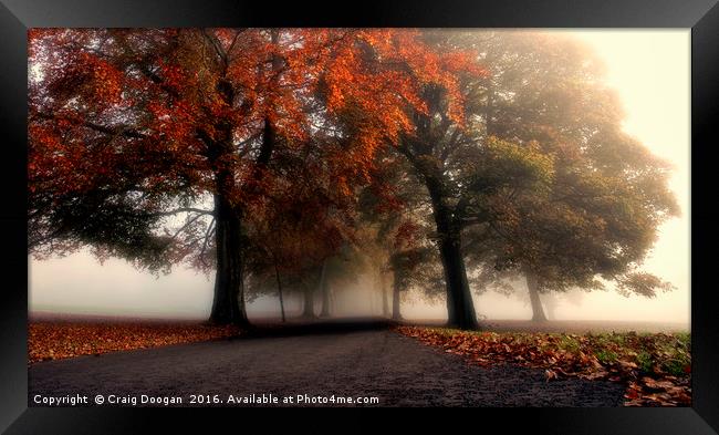 Foggy Autumn Trees Framed Print by Craig Doogan