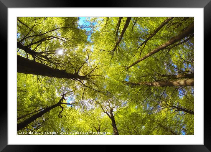 Natures Lungs Framed Mounted Print by Craig Doogan
