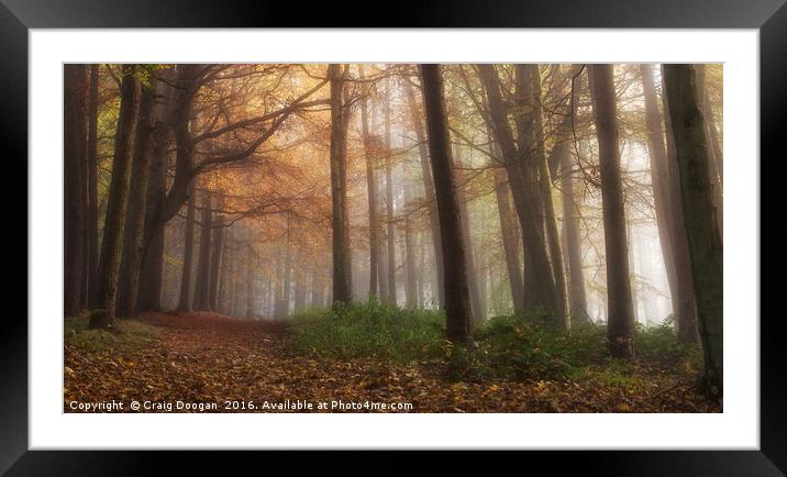 Misty Forest Framed Mounted Print by Craig Doogan