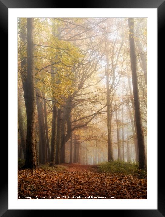 Mysterious Woods Framed Mounted Print by Craig Doogan