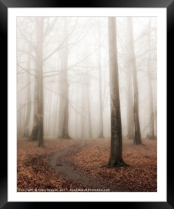 Foggy Forest Framed Mounted Print by Craig Doogan