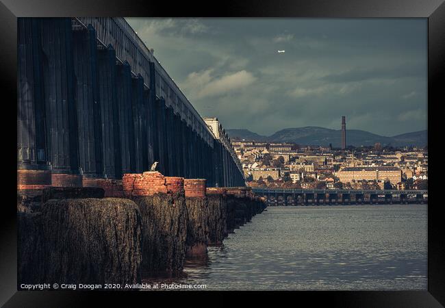 Heron on the Tay Framed Print by Craig Doogan