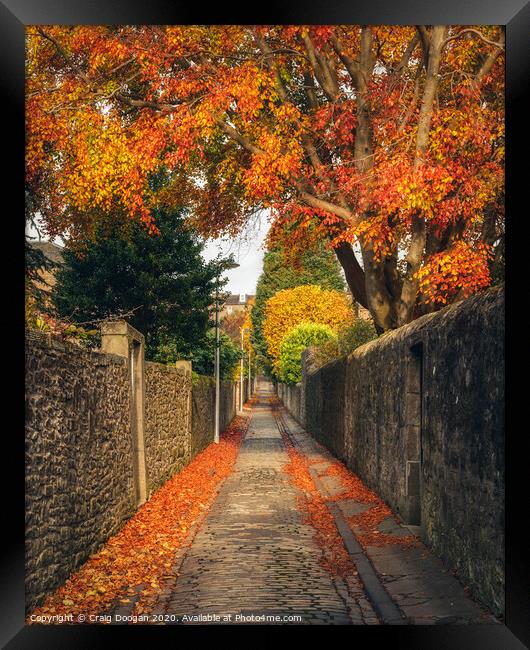 Strawberry Bank - Dundee Framed Print by Craig Doogan