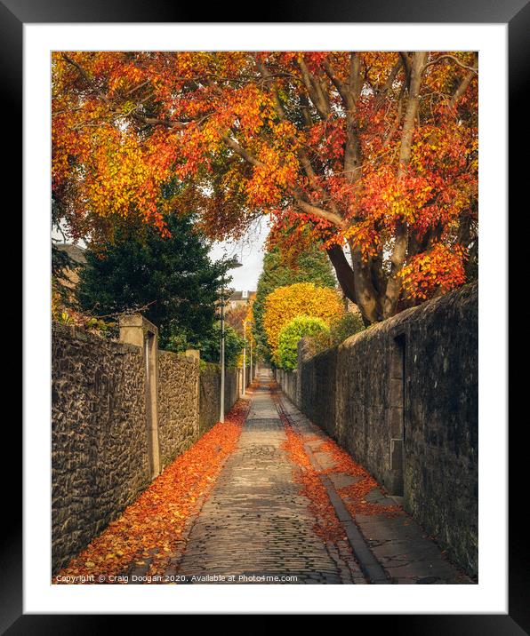 Strawberry Bank - Dundee Framed Mounted Print by Craig Doogan