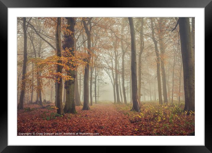 Foggy Autumnal Forest Framed Mounted Print by Craig Doogan