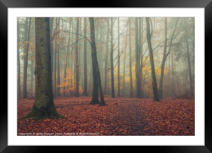 Moody Forest Framed Mounted Print by Craig Doogan