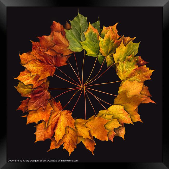 Autumnal Circle Framed Print by Craig Doogan