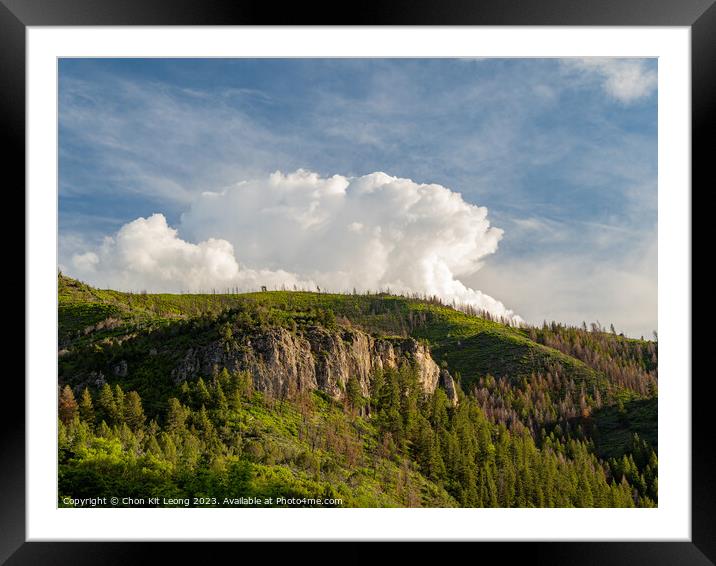 Sunny view of the landscape of the Rifle Falls Framed Mounted Print by Chon Kit Leong