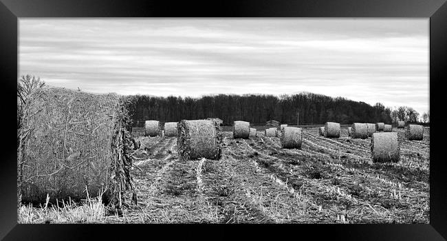 "Hay Bales In Ohio (B&W)" Framed Print by Jerome Cosyn