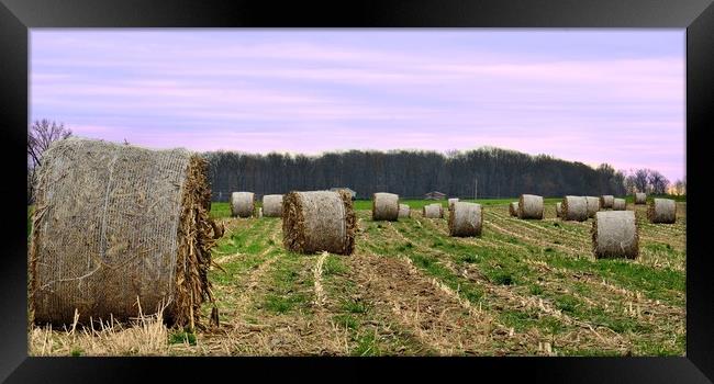 "Hay Bales In Ohio" Framed Print by Jerome Cosyn