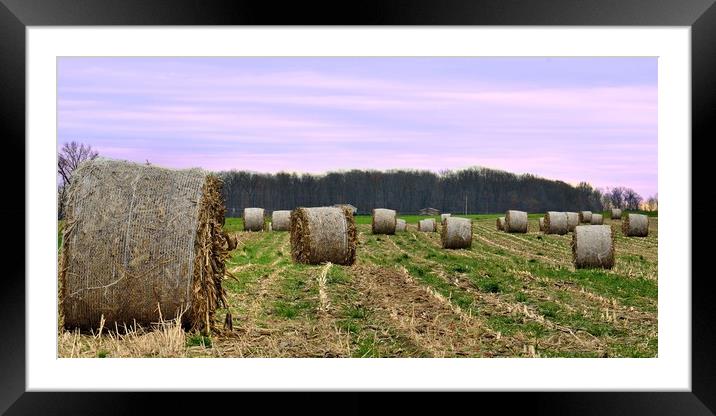 "Hay Bales In Ohio" Framed Mounted Print by Jerome Cosyn