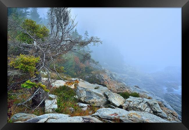 "Foggy Coast II" Framed Print by Jerome Cosyn