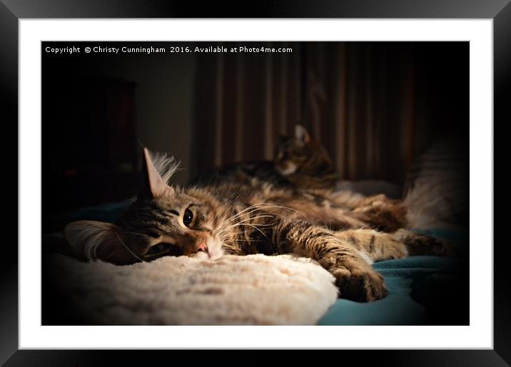 Relaxing in Duplicate Framed Mounted Print by Christy Cunningham