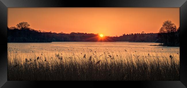 Sunset at Virginia Water Framed Print by Peter Walmsley