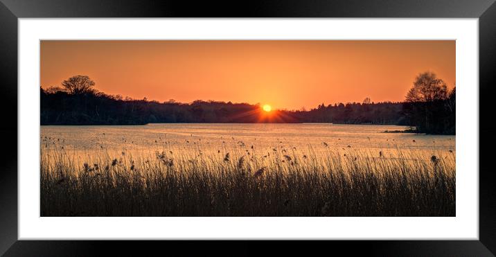 Sunset at Virginia Water Framed Mounted Print by Peter Walmsley