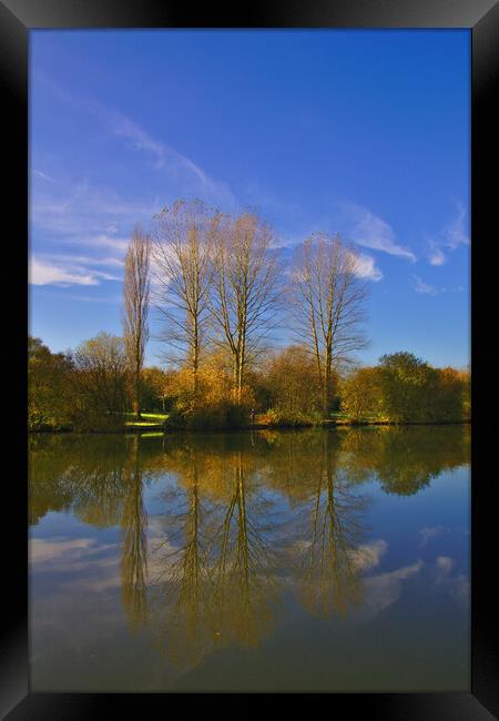 Trees In Autumn Reflections Framed Print by Jeremy Hayden