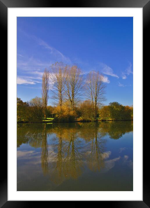 Trees In Autumn Reflections Framed Mounted Print by Jeremy Hayden