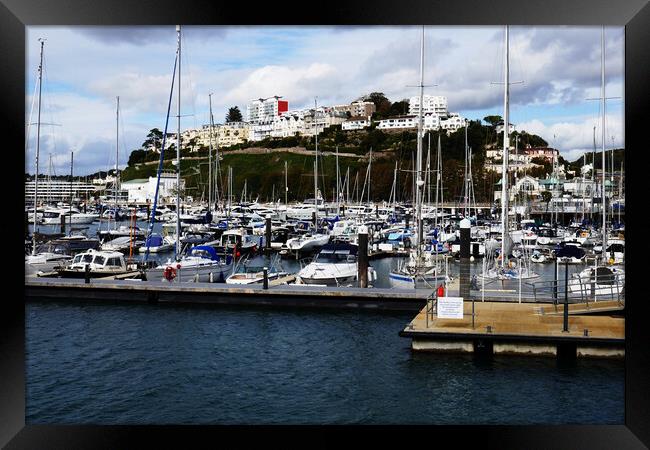 Sea of Masts in Torquay Framed Print by Jeremy Hayden