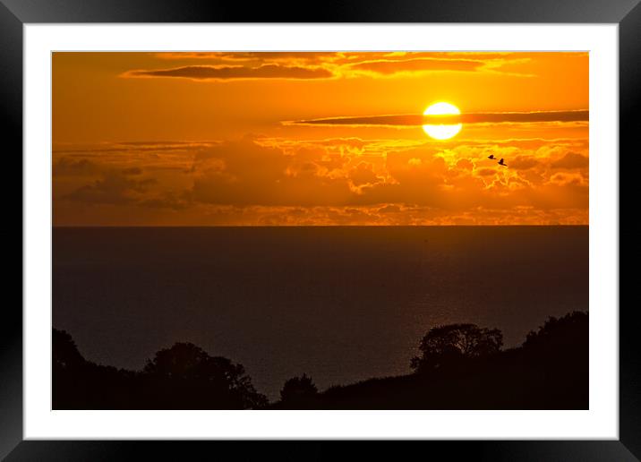 Birds in the Devon Sunrise Framed Mounted Print by Jeremy Hayden