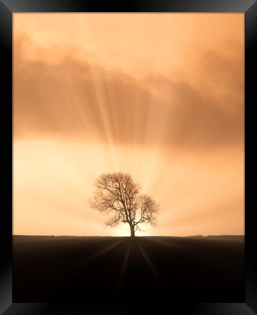 Sunburst Silhouette Framed Print by Chris Sweet