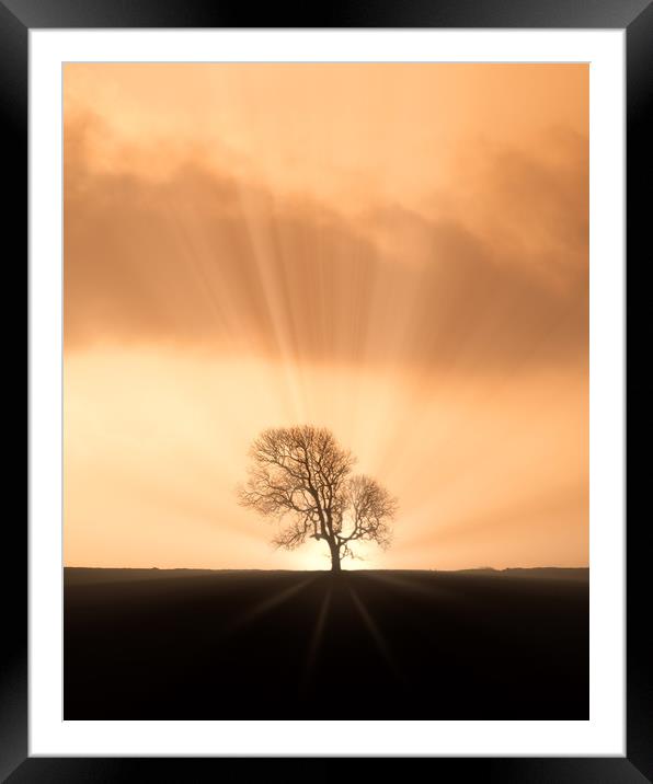 Sunburst Silhouette Framed Mounted Print by Chris Sweet