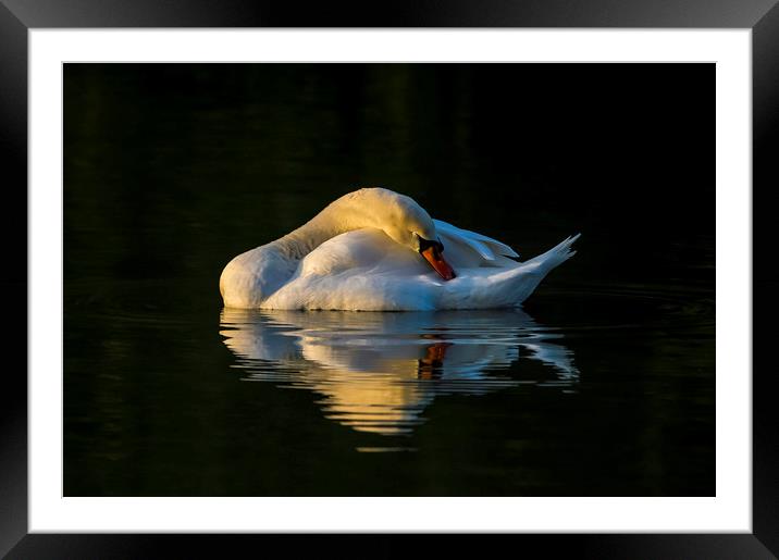 Golden Slumbers Framed Mounted Print by MARTIN CRUSH