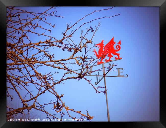 welsh dragon Framed Print by paul ratcliffe