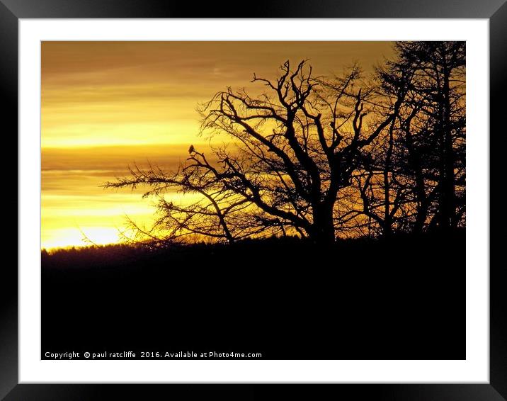 sunset silhouette,herefordshire Framed Mounted Print by paul ratcliffe