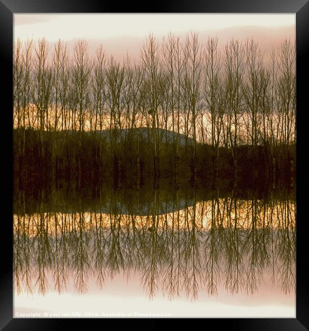 silver birch reflection in herefordshire Framed Print by paul ratcliffe