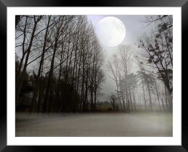moon amongst the trees Framed Mounted Print by paul ratcliffe
