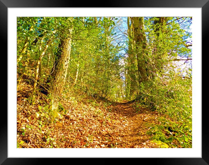 woodland trail Framed Mounted Print by paul ratcliffe