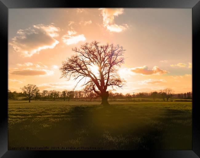 sunset tree herefordshire Framed Print by paul ratcliffe