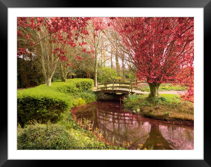 red trees at kenchester herefordshire Framed Mounted Print by paul ratcliffe