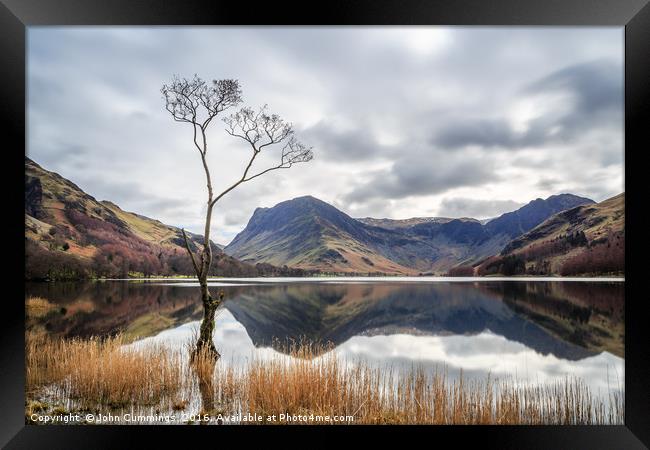 The Tree at Buttermere Framed Print by John Cummings